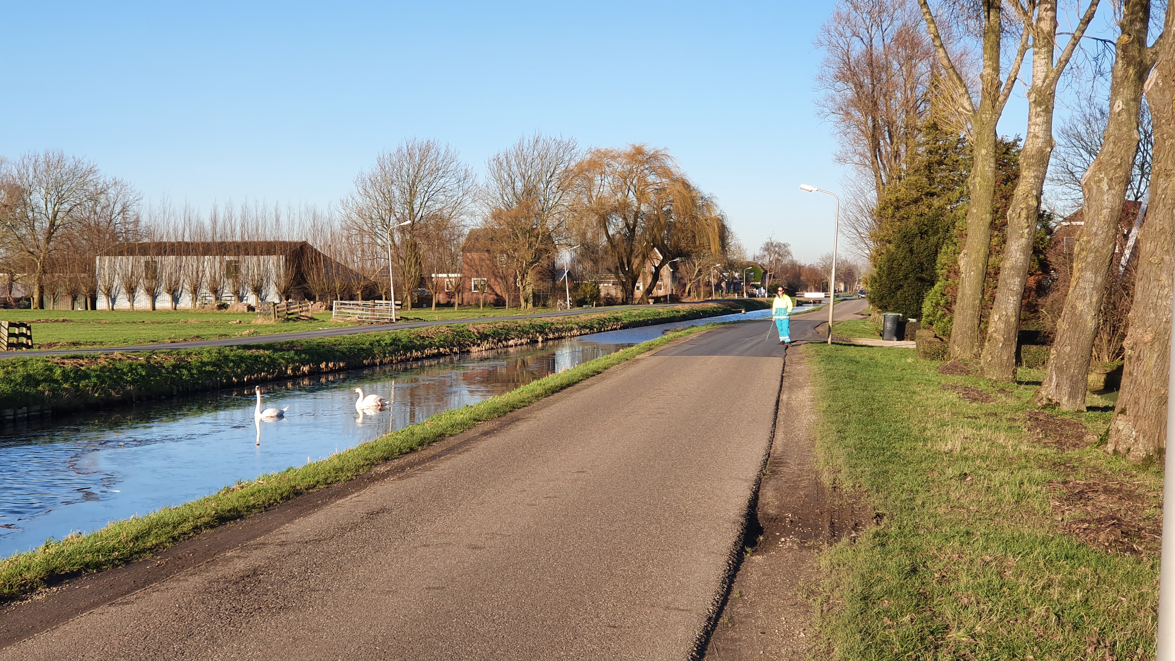 Driemaal geen scheepsrecht bij zwanen